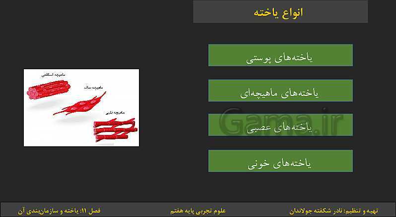 پاورپوینت تدریس فصل 11: یاخته‌ها و سازمان بندی آن | کتاب درسی علوم تجربی پایه هفتم- پیش نمایش