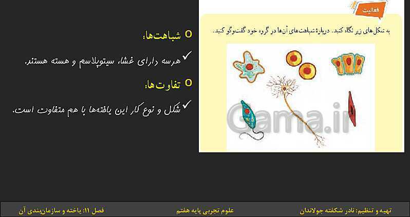 پاورپوینت تدریس فصل 11: یاخته‌ها و سازمان بندی آن | کتاب درسی علوم تجربی پایه هفتم- پیش نمایش