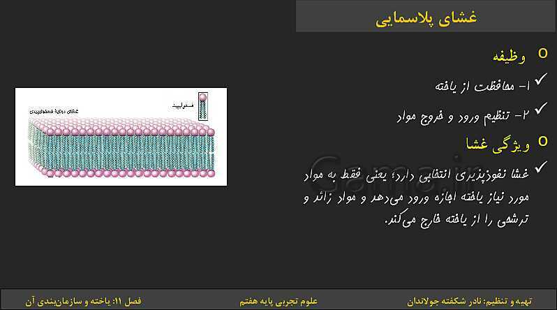 پاورپوینت تدریس فصل 11: یاخته‌ها و سازمان بندی آن | کتاب درسی علوم تجربی پایه هفتم- پیش نمایش