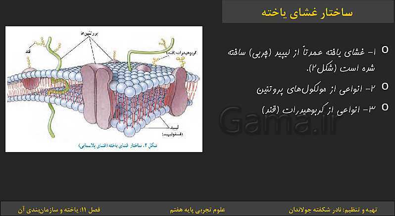 پاورپوینت تدریس فصل 11: یاخته‌ها و سازمان بندی آن | کتاب درسی علوم تجربی پایه هفتم- پیش نمایش