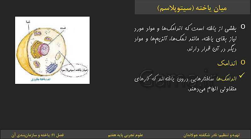 پاورپوینت تدریس فصل 11: یاخته‌ها و سازمان بندی آن | کتاب درسی علوم تجربی پایه هفتم- پیش نمایش