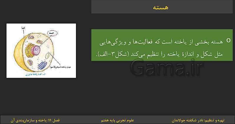 پاورپوینت تدریس فصل 11: یاخته‌ها و سازمان بندی آن | کتاب درسی علوم تجربی پایه هفتم- پیش نمایش