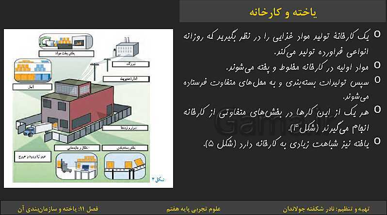 پاورپوینت تدریس فصل 11: یاخته‌ها و سازمان بندی آن | کتاب درسی علوم تجربی پایه هفتم- پیش نمایش