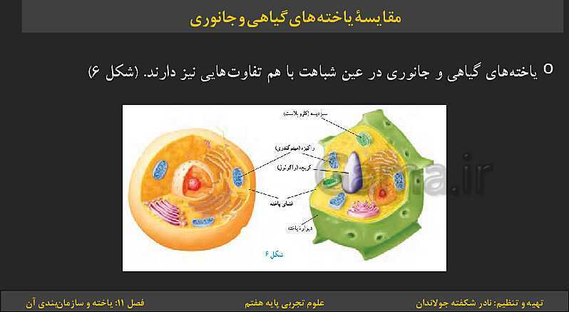 پاورپوینت تدریس فصل 11: یاخته‌ها و سازمان بندی آن | کتاب درسی علوم تجربی پایه هفتم- پیش نمایش