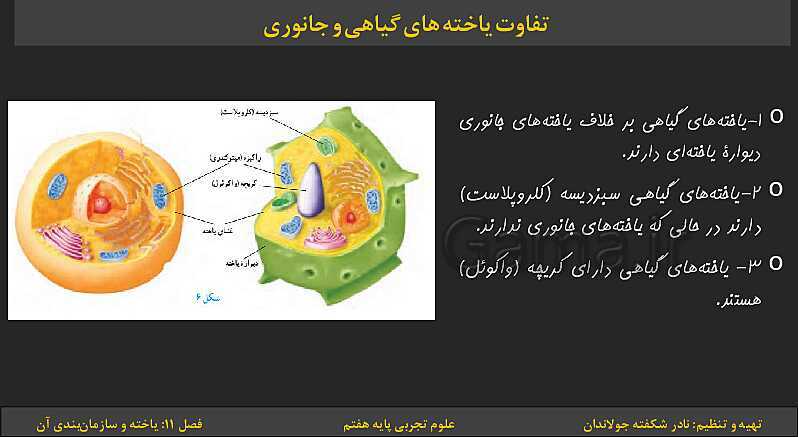 پاورپوینت تدریس فصل 11: یاخته‌ها و سازمان بندی آن | کتاب درسی علوم تجربی پایه هفتم- پیش نمایش