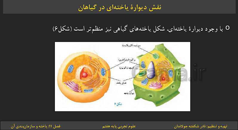 پاورپوینت تدریس فصل 11: یاخته‌ها و سازمان بندی آن | کتاب درسی علوم تجربی پایه هفتم- پیش نمایش