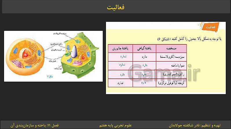 پاورپوینت تدریس فصل 11: یاخته‌ها و سازمان بندی آن | کتاب درسی علوم تجربی پایه هفتم- پیش نمایش