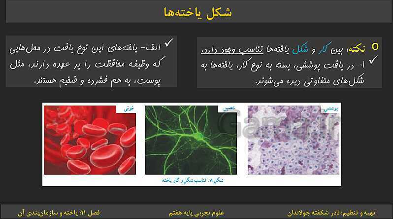 پاورپوینت تدریس فصل 11: یاخته‌ها و سازمان بندی آن | کتاب درسی علوم تجربی پایه هفتم- پیش نمایش