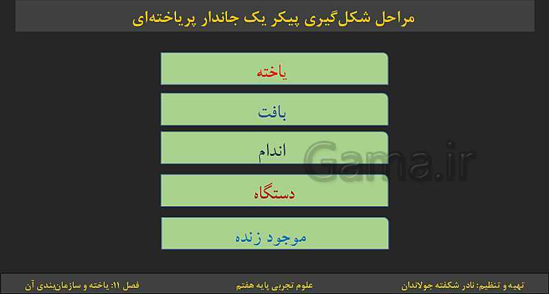 پاورپوینت تدریس فصل 11: یاخته‌ها و سازمان بندی آن | کتاب درسی علوم تجربی پایه هفتم- پیش نمایش