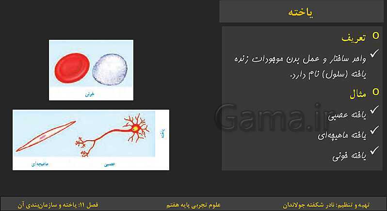 پاورپوینت تدریس فصل 11: یاخته‌ها و سازمان بندی آن | کتاب درسی علوم تجربی پایه هفتم- پیش نمایش