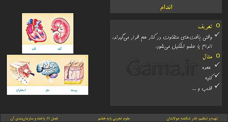 پاورپوینت تدریس فصل 11: یاخته‌ها و سازمان بندی آن | کتاب درسی علوم تجربی پایه هفتم- پیش نمایش