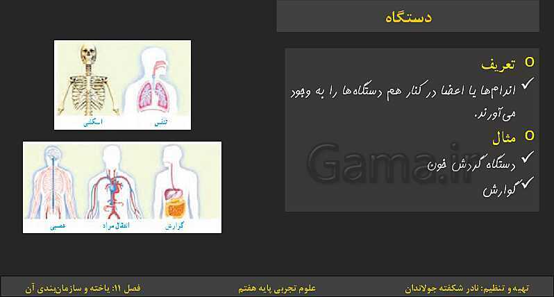 پاورپوینت تدریس فصل 11: یاخته‌ها و سازمان بندی آن | کتاب درسی علوم تجربی پایه هفتم- پیش نمایش