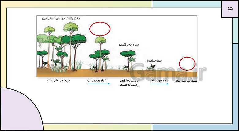 پاورپوینت تدریس درس 2: انسان و ناحیه | کتاب درسی جغرافیا 2 یازدهم- پیش نمایش