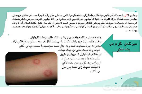 پاورپوینت واحد سلامت، بهداشت و صیانت از محیط زیست (بیماریهای واگیر دار)- پیش نمایش