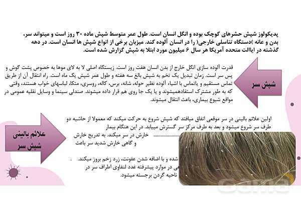 پاورپوینت واحد سلامت، بهداشت و صیانت از محیط زیست (بیماریهای واگیر دار)- پیش نمایش