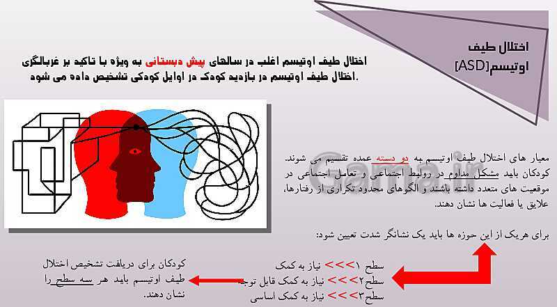 مروری بر مشکلات اجتماعی، هیجانی و رفتاری کودکان خردسال- پیش نمایش