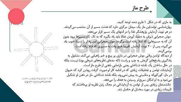 نظریه یادگیری اردوارد تولمن Edward chace Tolman- پیش نمایش