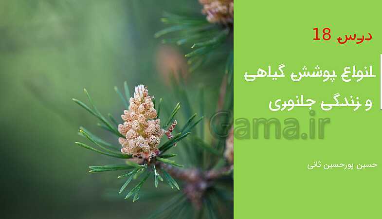 پاورپوینت مطالعات اجتماعی چهارم دبستان | درس 18: پوشش گیاهی و زندگی جانوری در ایران- پیش نمایش