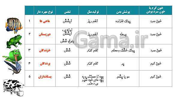 پاورپوینت درس 11: بی مهره ها | علوم چهارم ابتدائی- پیش نمایش