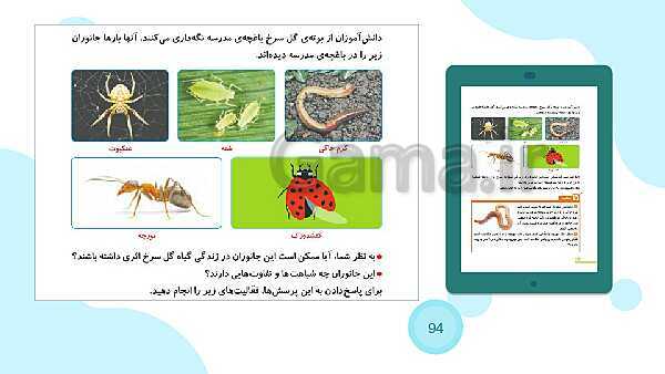 پاورپوینت درس 11: بی مهره ها | علوم چهارم ابتدائی- پیش نمایش