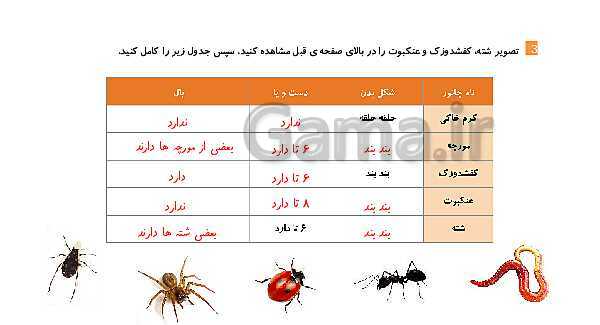 پاورپوینت درس 11: بی مهره ها | علوم چهارم ابتدائی- پیش نمایش