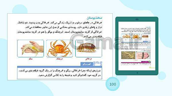 پاورپوینت درس 11: بی مهره ها | علوم چهارم ابتدائی- پیش نمایش