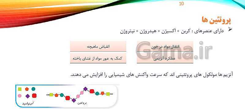 پاورپوینت تدریس زیست شناسی دهم؛ گستره حیات، یاخته و بافت- پیش نمایش