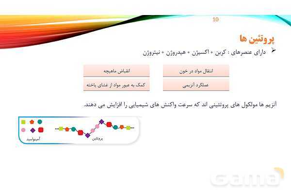 پاورپوینت تدریس زیست شناسی دهم؛ گستره حیات، یاخته و بافت- پیش نمایش