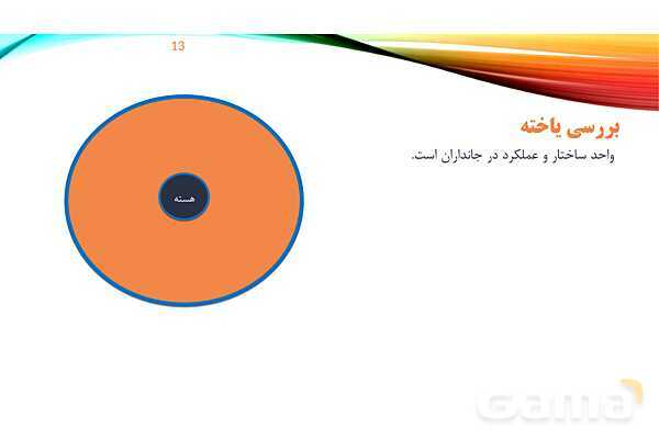پاورپوینت تدریس زیست شناسی دهم؛ گستره حیات، یاخته و بافت- پیش نمایش