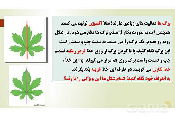 پاورپوینت تدریس فصل چهارم ریاضی پنجم ابتدائی | درس 1: تقارن محوری- پیش نمایش