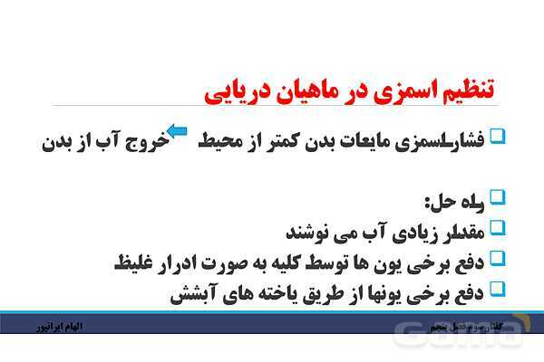 پاورپوینت تدریس گفتار 3 فصل پنجم زیست دهم: تنوع دفع و تنظیم اسمزی در جانداران- پیش نمایش