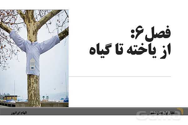 پاورپوینت تدریس گفتار 1 فصل ششم زیست دهم: ویژگیهای یاخته گیاهی- پیش نمایش