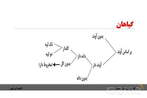 پاورپوینت تدریس گفتار 1 فصل ششم زیست دهم: ویژگیهای یاخته گیاهی- پیش نمایش