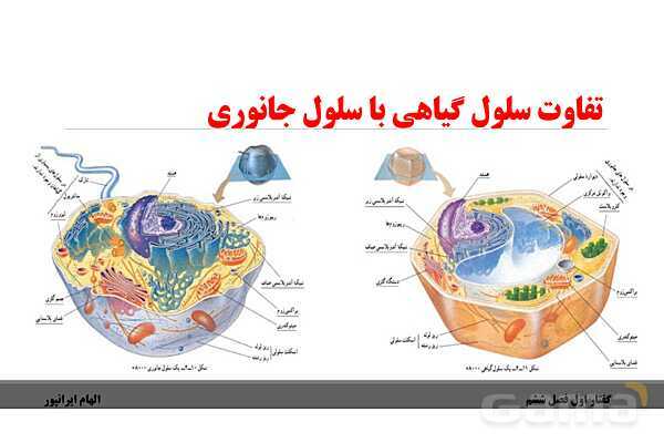پاورپوینت تدریس گفتار 1 فصل ششم زیست دهم: ویژگیهای یاخته گیاهی- پیش نمایش