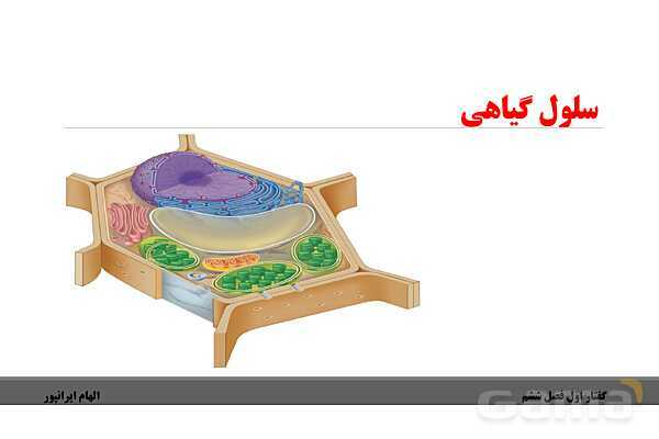 پاورپوینت تدریس گفتار 1 فصل ششم زیست دهم: ویژگیهای یاخته گیاهی- پیش نمایش