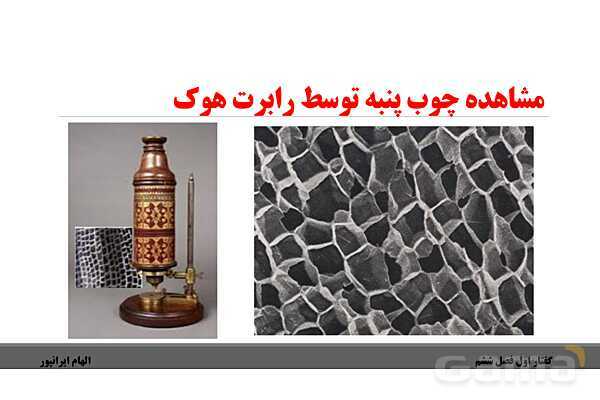 پاورپوینت تدریس گفتار 1 فصل ششم زیست دهم: ویژگیهای یاخته گیاهی- پیش نمایش