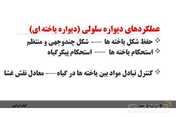 پاورپوینت تدریس گفتار 1 فصل ششم زیست دهم: ویژگیهای یاخته گیاهی- پیش نمایش