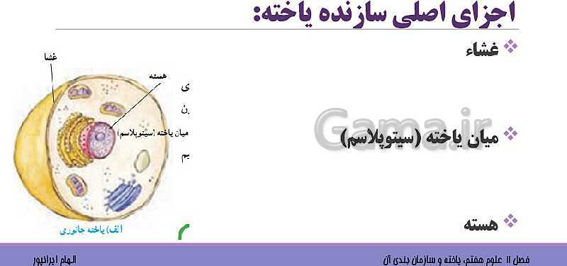 پاورپوینت تدریس فصل 11 علوم هفتم: یاخته و سازمان بندی آن- پیش نمایش