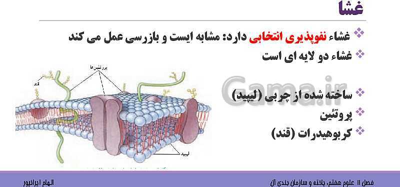 پاورپوینت تدریس فصل 11 علوم هفتم: یاخته و سازمان بندی آن- پیش نمایش