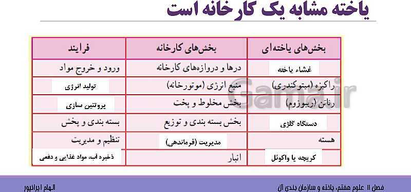 پاورپوینت تدریس فصل 11 علوم هفتم: یاخته و سازمان بندی آن- پیش نمایش