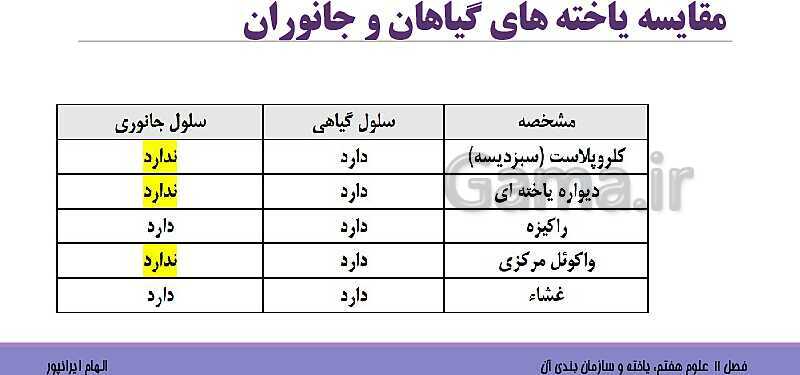 پاورپوینت تدریس فصل 11 علوم هفتم: یاخته و سازمان بندی آن- پیش نمایش