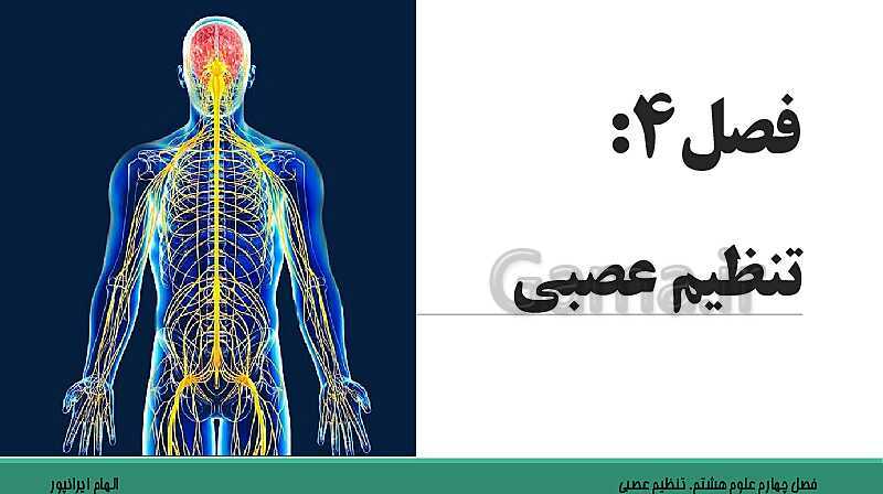  پاورپوینت تدریس فصل 4 علوم هشتم: تنظیم عصبی- پیش نمایش