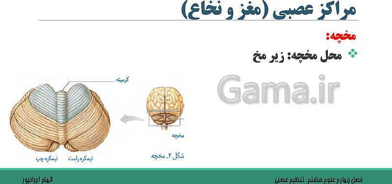  پاورپوینت تدریس فصل 4 علوم هشتم: تنظیم عصبی- پیش نمایش