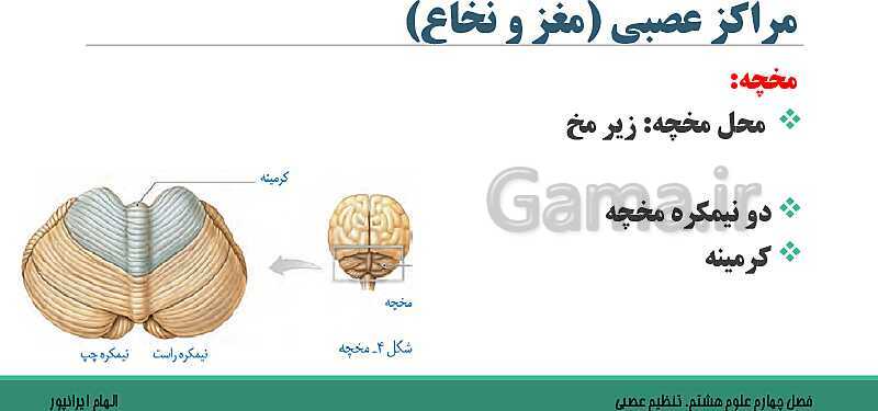  پاورپوینت تدریس فصل 4 علوم هشتم: تنظیم عصبی- پیش نمایش