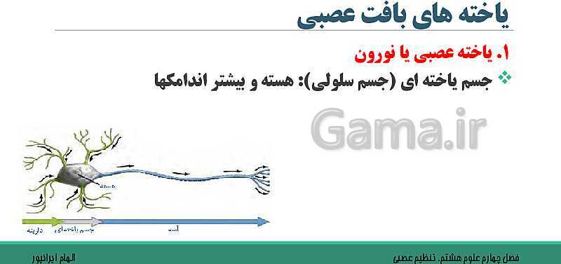  پاورپوینت تدریس فصل 4 علوم هشتم: تنظیم عصبی- پیش نمایش