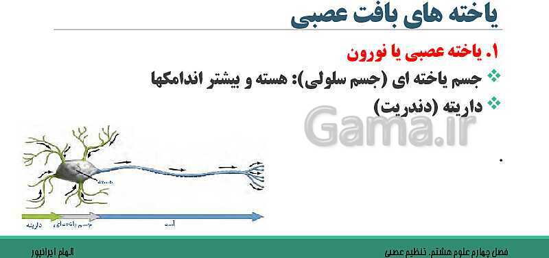  پاورپوینت تدریس فصل 4 علوم هشتم: تنظیم عصبی- پیش نمایش