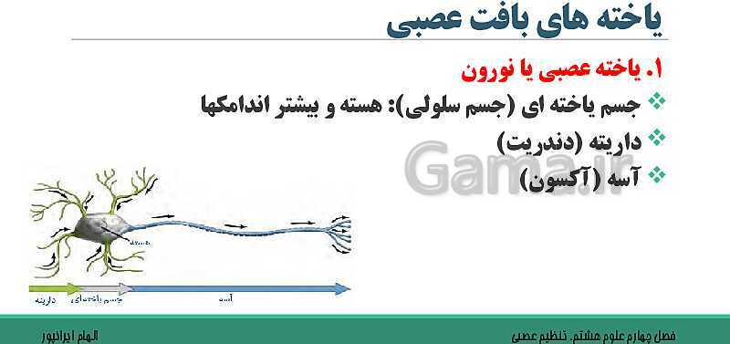  پاورپوینت تدریس فصل 4 علوم هشتم: تنظیم عصبی- پیش نمایش