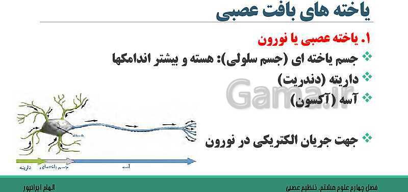  پاورپوینت تدریس فصل 4 علوم هشتم: تنظیم عصبی- پیش نمایش