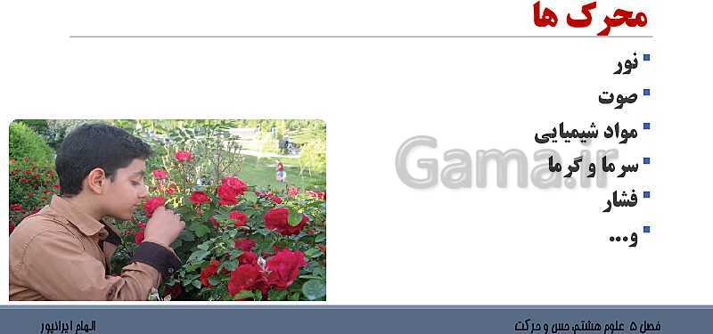پاورپوینت تدریس فصل 5 علوم هشتم: حس و حرکت- پیش نمایش