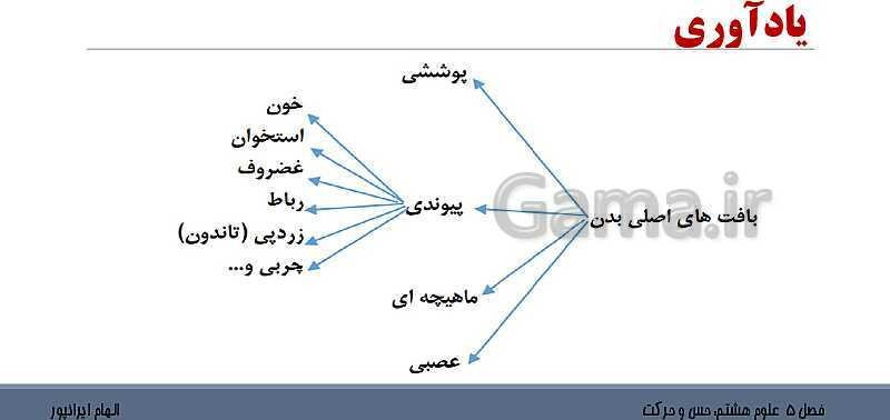 پاورپوینت تدریس فصل 5 علوم هشتم: حس و حرکت- پیش نمایش